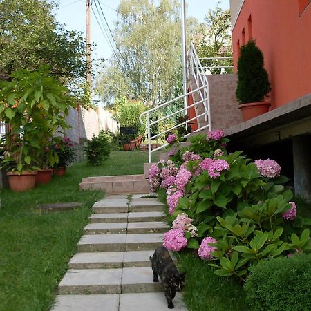 Eden Vendeghaz Otel Miskolc Dış mekan fotoğraf