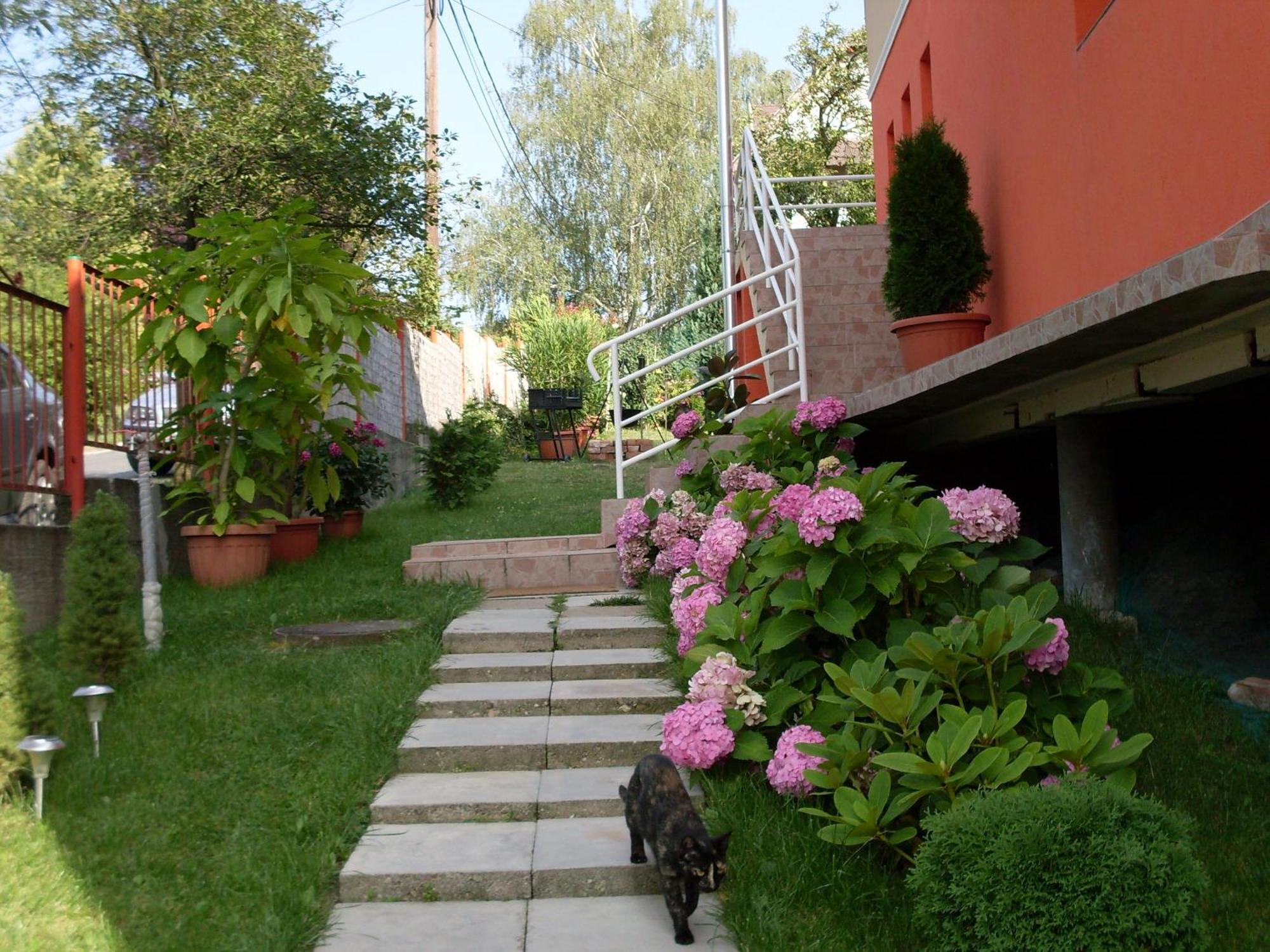 Eden Vendeghaz Otel Miskolc Dış mekan fotoğraf